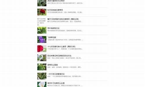 中国最大的养花网站_中国最大的养花网站是什么